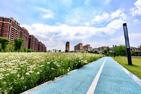 走进新桥这处绿地生态公园,感受夏日里的繁花似锦