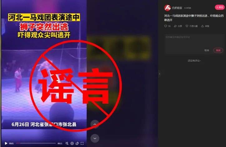 马戏团狮子表演时欲出逃观众被吓跑 马戏团的动物是从哪里来的？