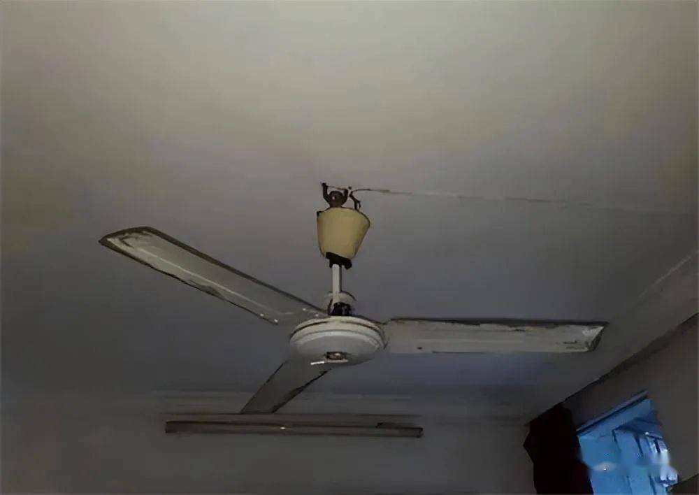 天津一家四口吃完馄饨后3人殒命,警察:家里连蚊蝇