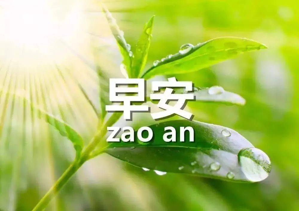 新版早上好图片带字带祝福语,温馨早安祝福语短信大全_朋友_开心_曲调