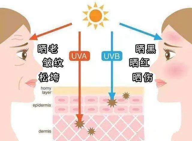 紫外线灯对人体的危害图片