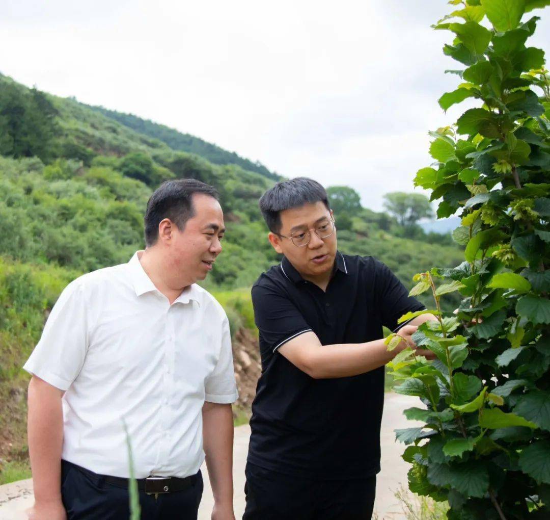 团太原市委书记赵志远在古交市调研_种植_发展_沙棘