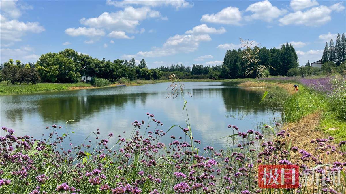 东西湖风景区图片