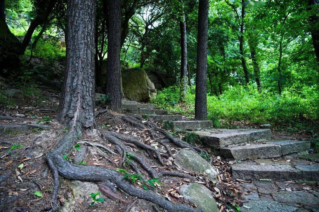 鹿寨山环山步道图片