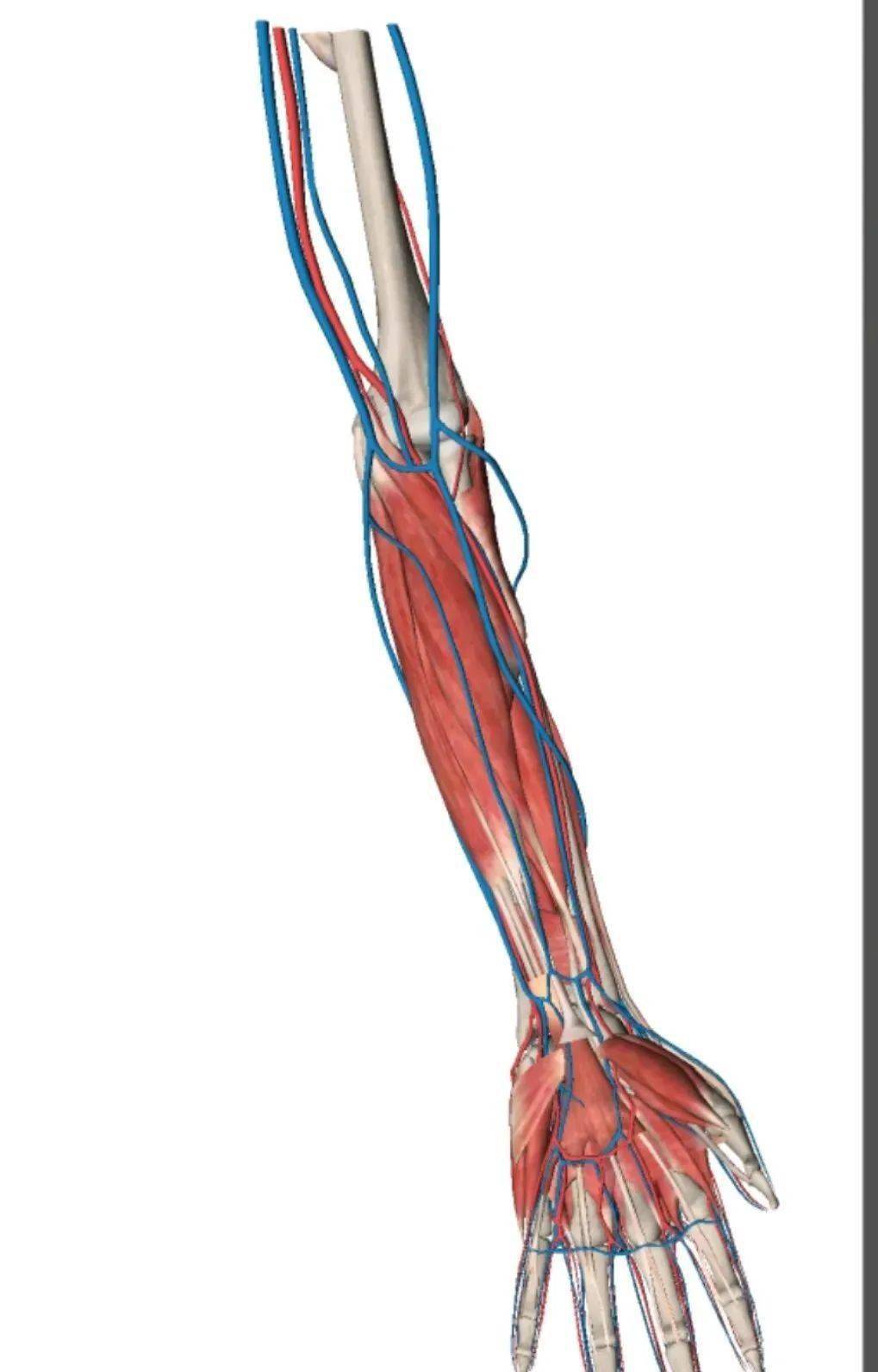 血管_患者_针眼