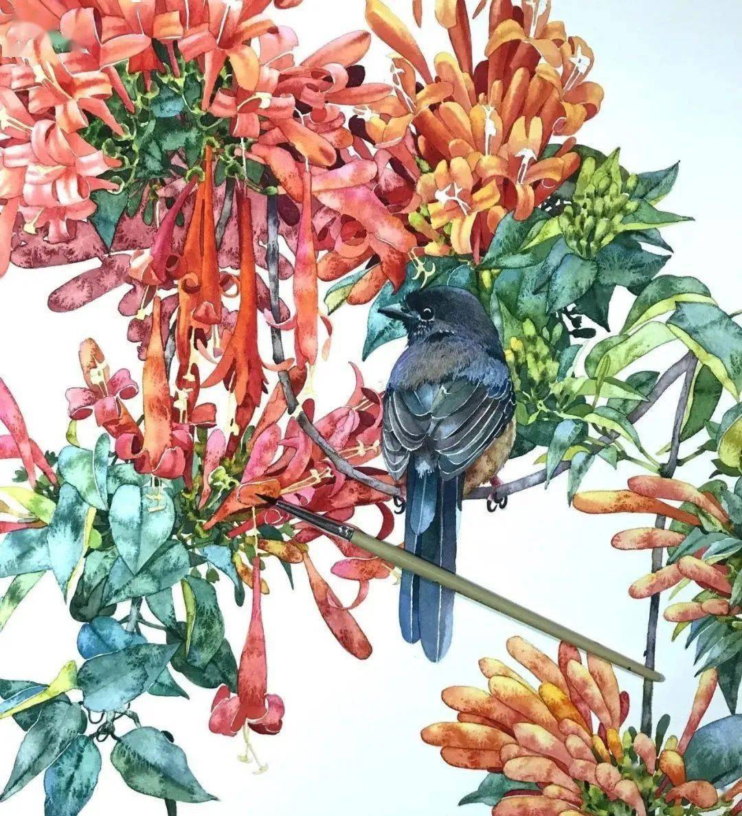 自然洒脱趣意十足的水彩花鸟画,泰国80后水彩画家kitipong ti_作品