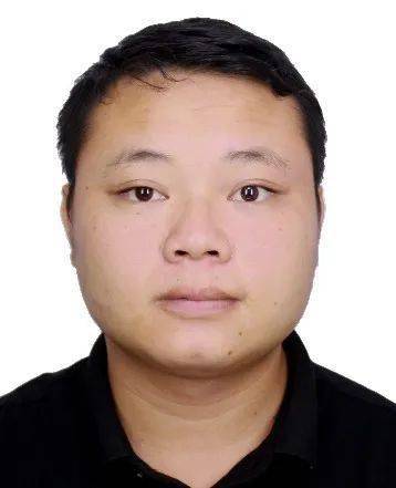 借款_杨某某_案例