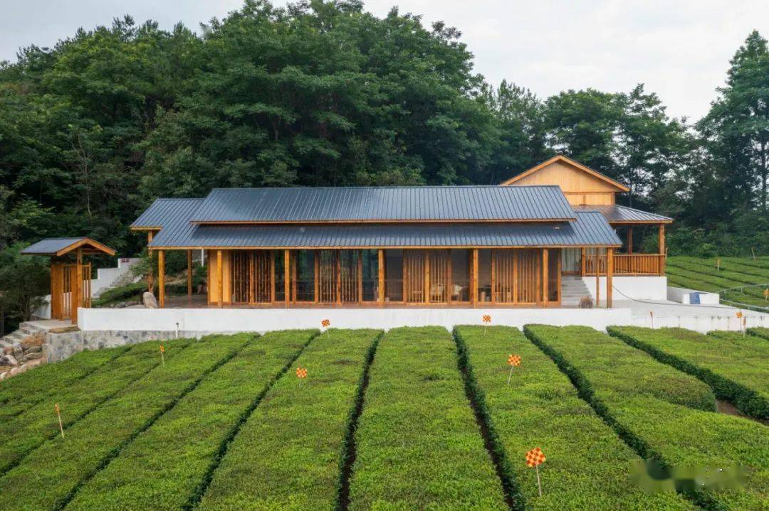 在世界茶旅古镇,这5个地方你一定要知道_五峰_渔洋关镇_休闲