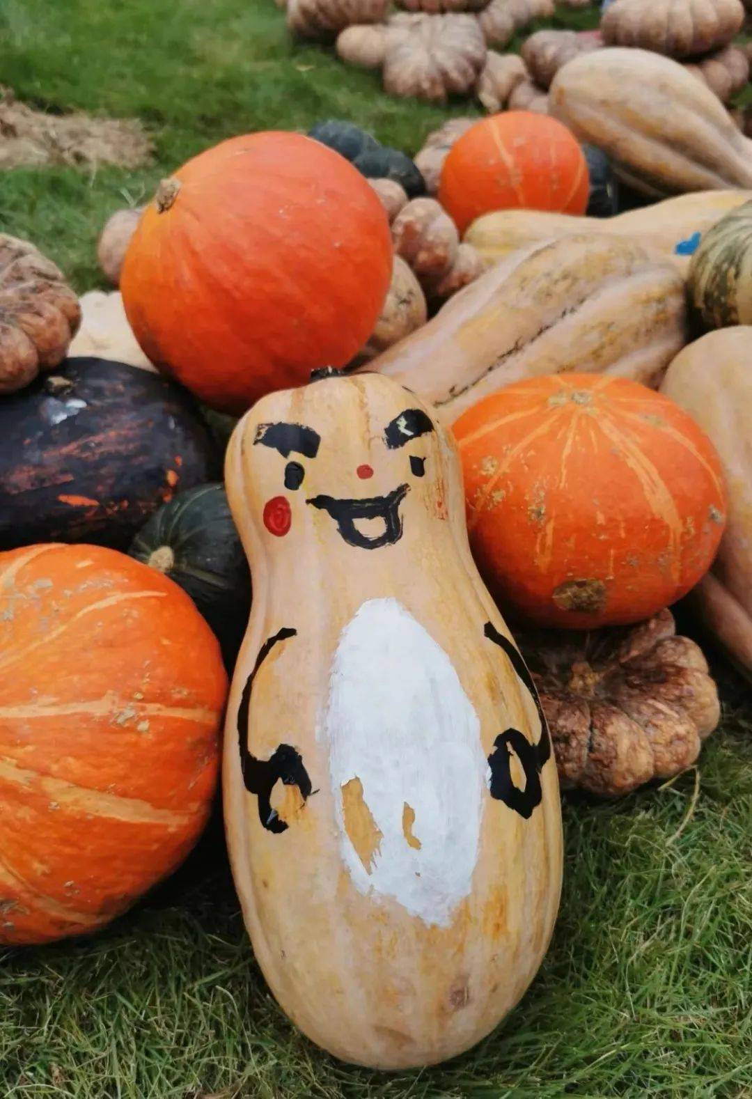 南瓜不仅好吃好玩,还可以作为创意绘画的"立体画板".