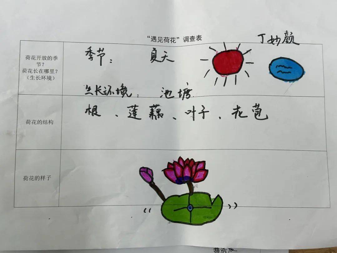 幼儿园夏天调查表图片