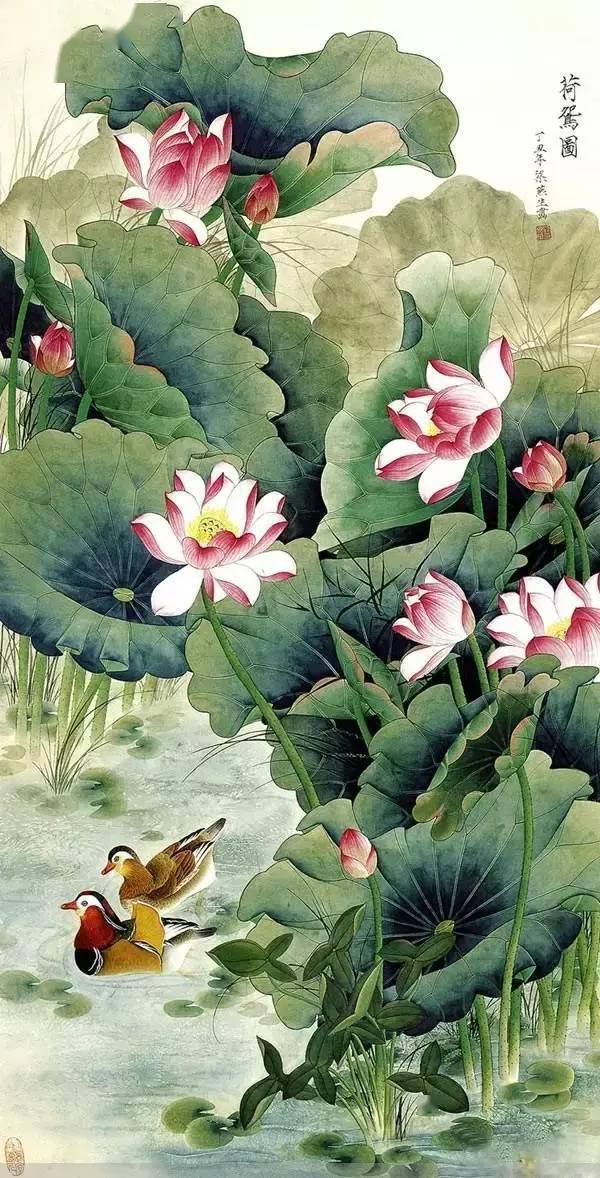 好漂亮的鸳鸯戏水图:祝愿天下有情人!_人们_写意_视频
