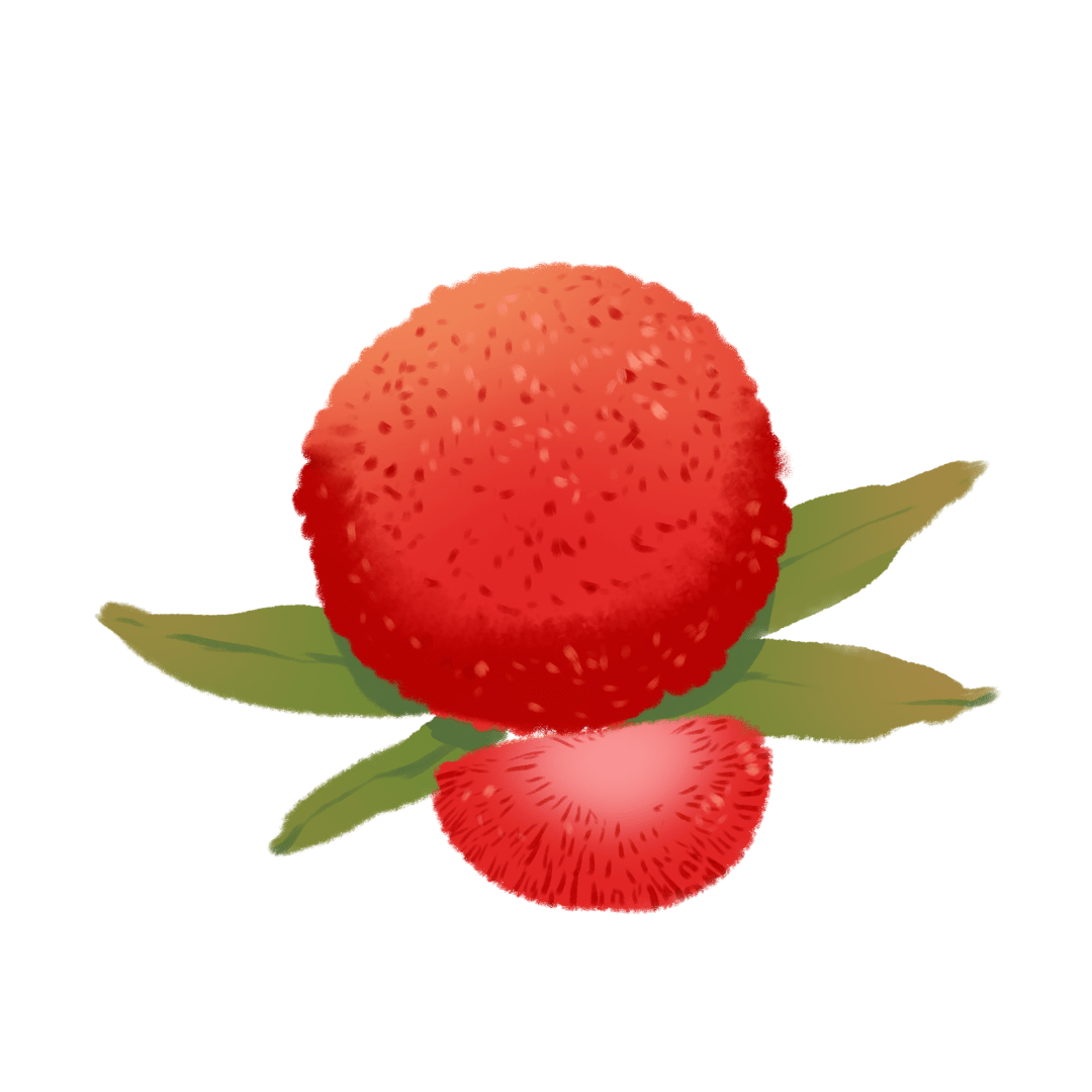 单户增收20万 !文成直播助农让杨梅树变"摇钱树"