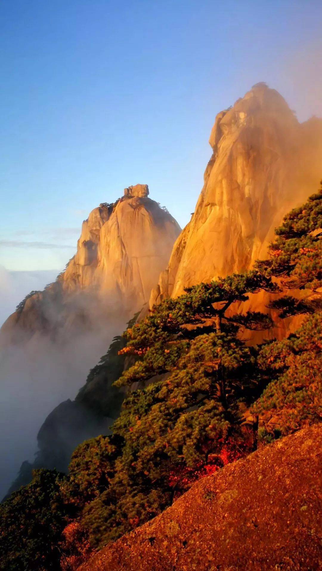 【行摄黄山】"天下第一奇山"大美黄山,山顶四星标双·观日出·赏云海