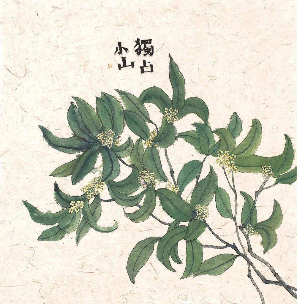 李知弥|方寸之间,成就他的小天地_生活_艺术_作品