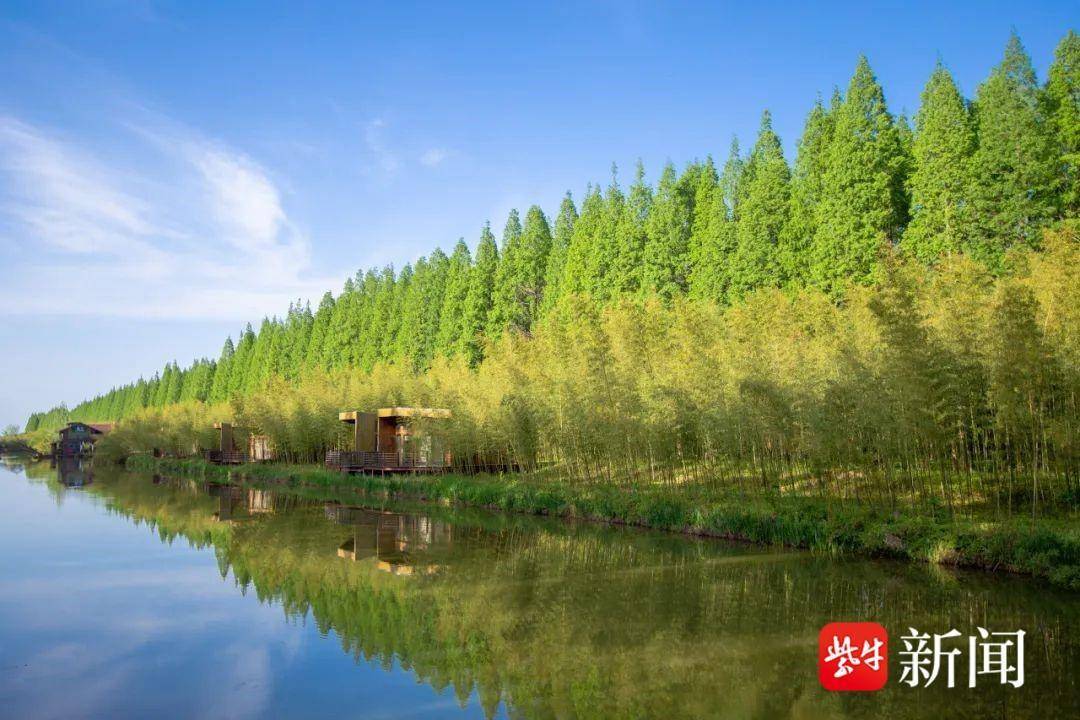 东台黄海森林公园获评全国首家零碳旅游景区_环保_绿色_理念