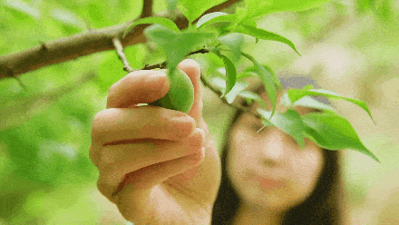 谁才是湖南的水果之都?