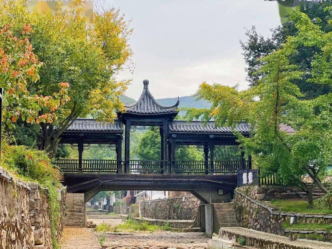 远东电缆:"点靓"乡村振兴_龙山村_宜兴_企业