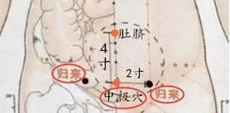 真人示范,抓住这关键9天,老慢支,老寒腿,关节,肠胃问题别错过!_穴位_时间_胸椎