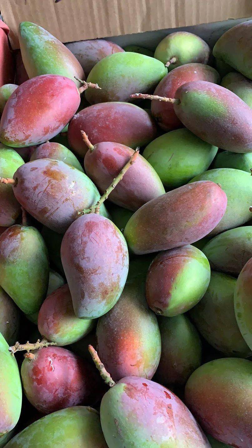 【百色贵妃芒】9斤 (30-45个)才29.9!