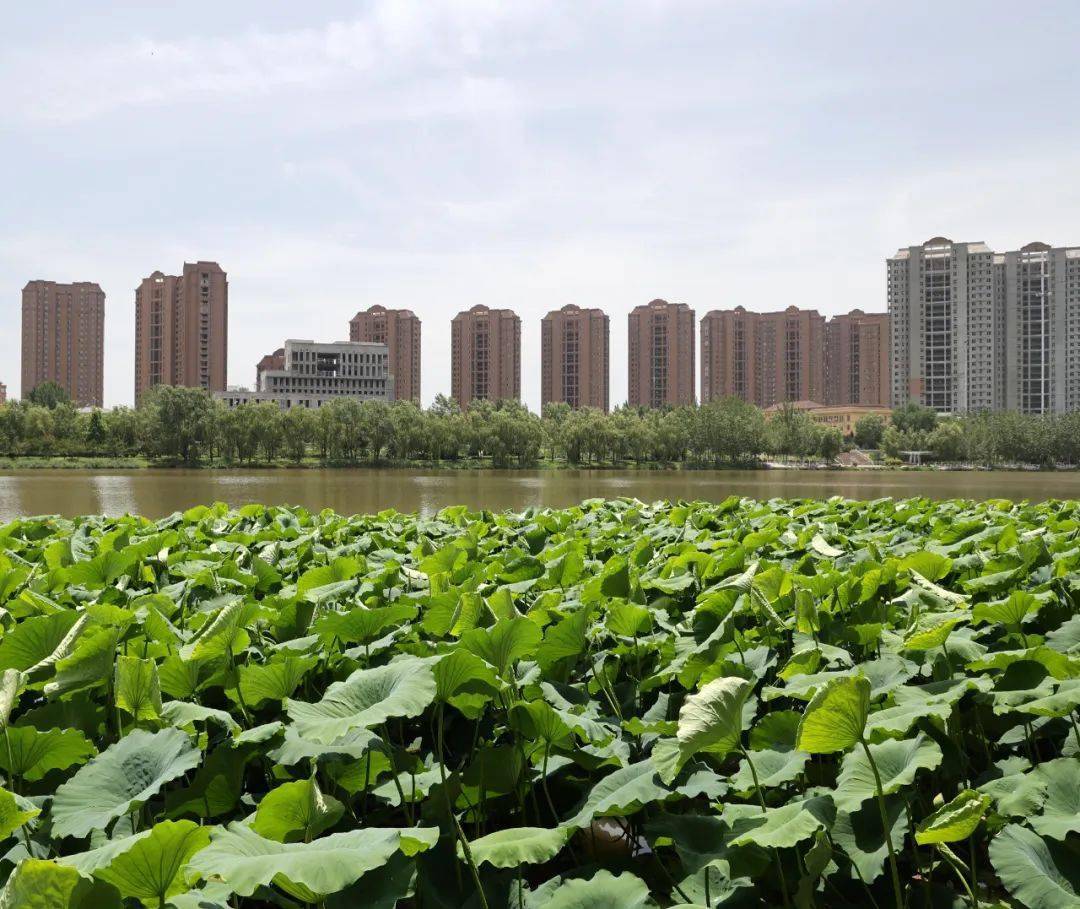 汾河公园里拍到的…太美!_洪洞_风光_前往