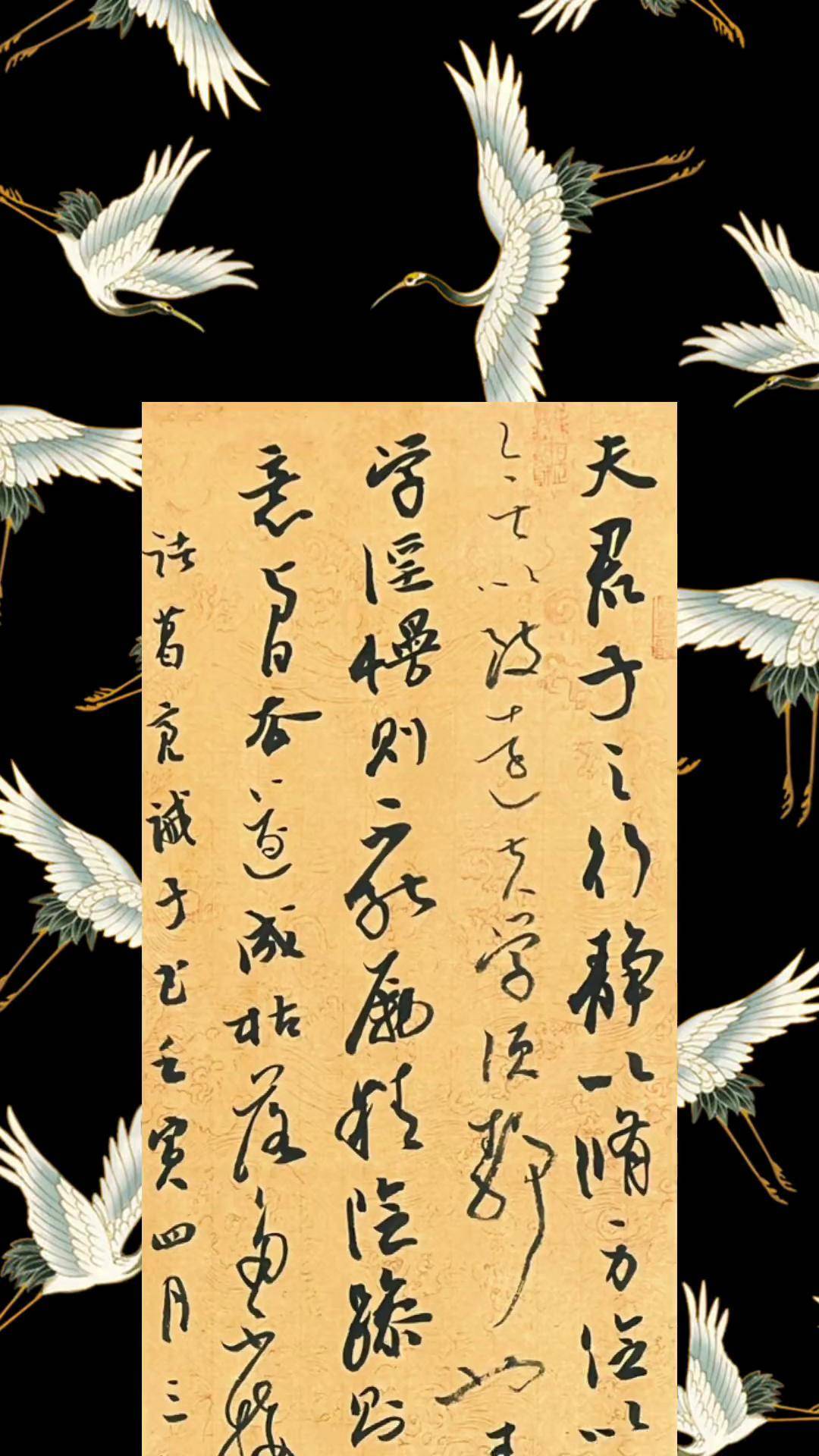 书法 赵立志书法 草书