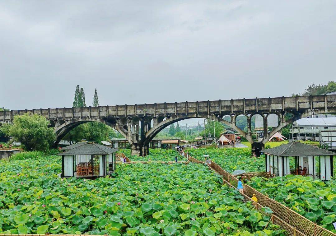 永康塘里村风景介绍图片