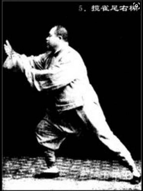 太极前辈的22条“军规”，终身受用！_重心_尾闾_右手