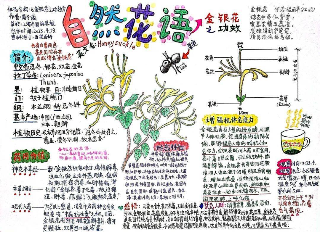 第二届上海市"百草杯"青少年自然笔记壁报征集活动圆满收官