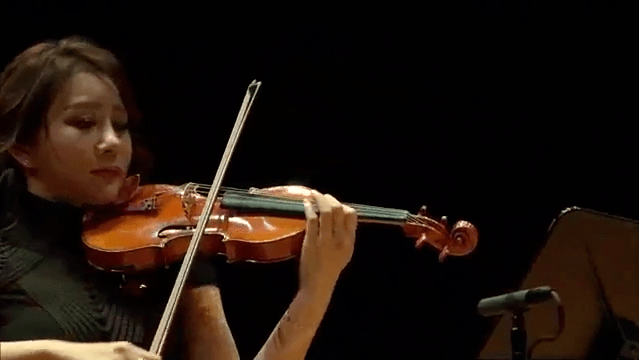卡伐蒂娜小提琴图片