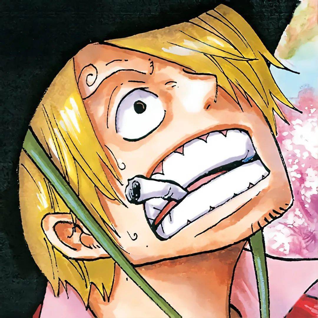 草帽一伙漫画彩页头像