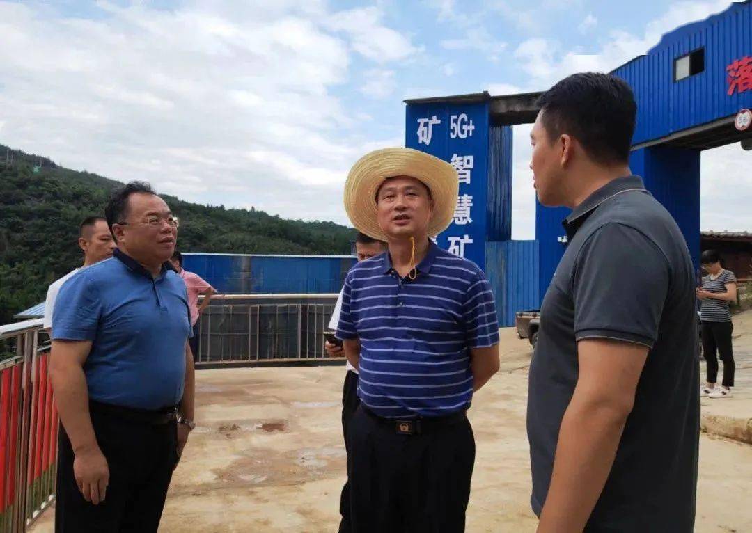 省第三督察组副组长带队赴郴州临武县开展下沉督察_工作_整改_处置