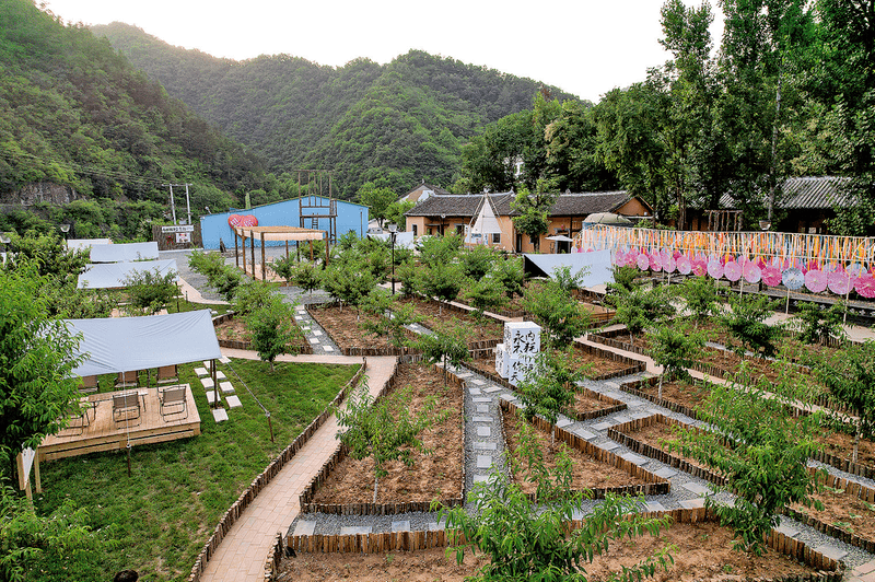 金丝峡镇二郎庙村山也·椅子露营地太美啦_乡村_建设_发展
