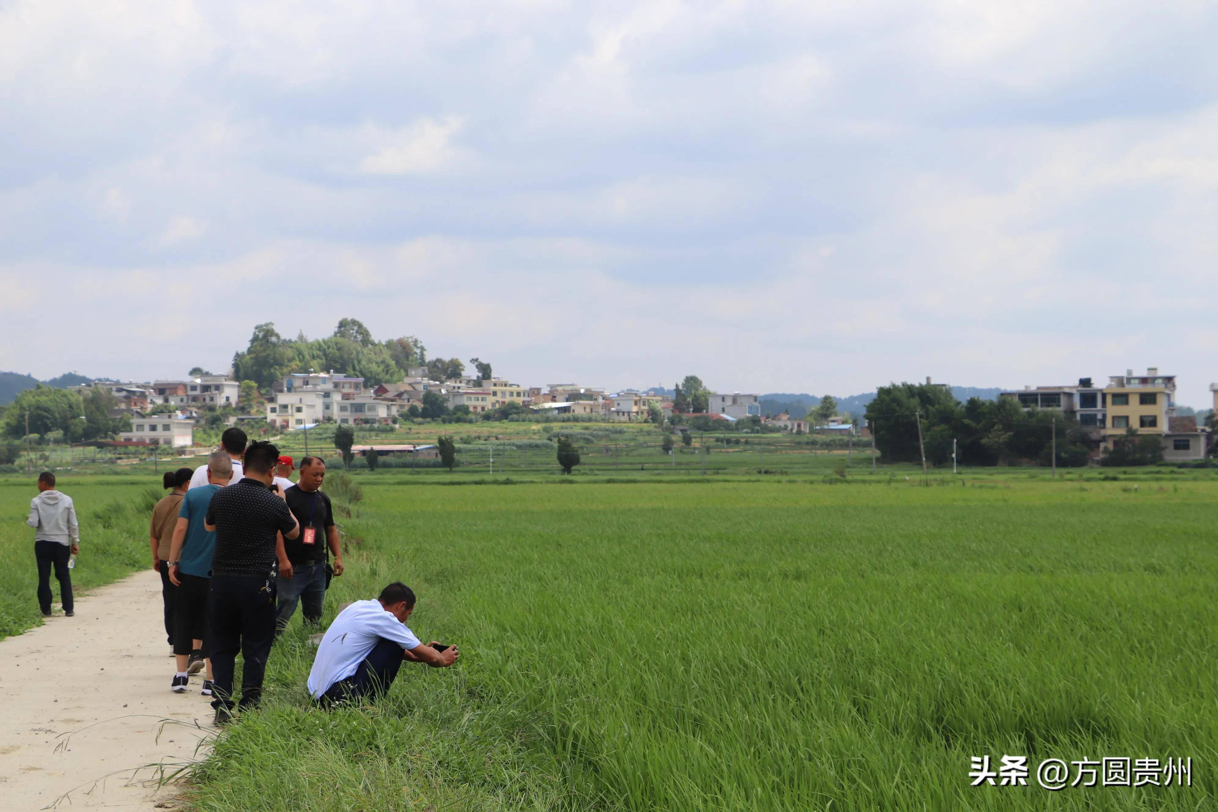 独山县上司镇组织县镇人大代表履职参观活动_乡村_村庄_的发展