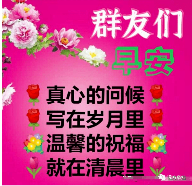 今日最新早上好表情图片大全,真心问候,祝福无限