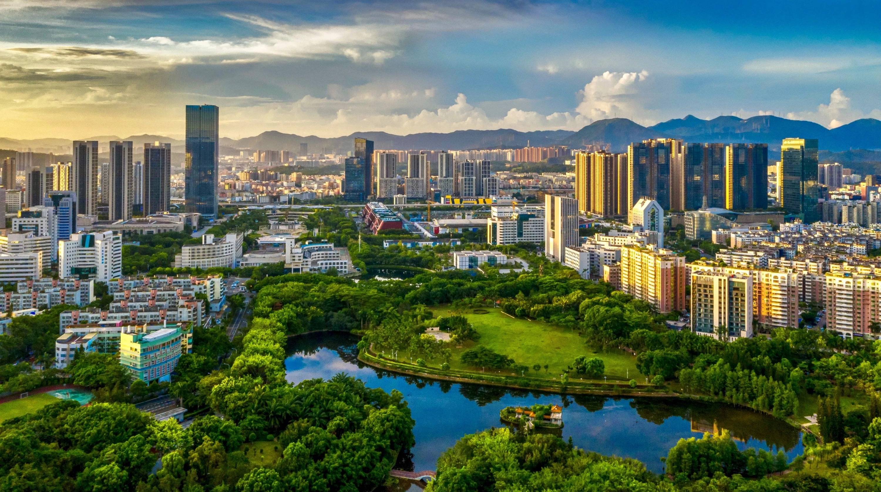 龙城获全市a ,全区领先 | 绿美龙城 首善之街_城市_管理_综合执法局
