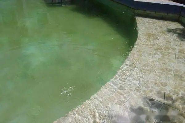 图源:德泽温泉康养小镇"微信公众号"沾益万寿菊:漫山遍野的"黄金甲"到