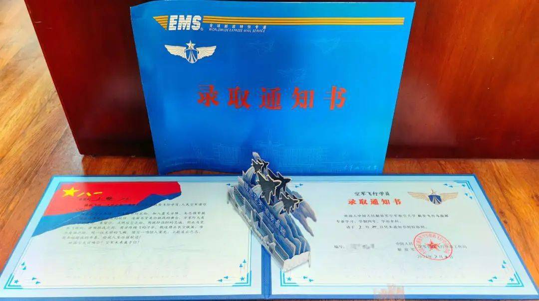 "人民空军请你入列"!嘉兴4名学子被录取为空军飞行学员