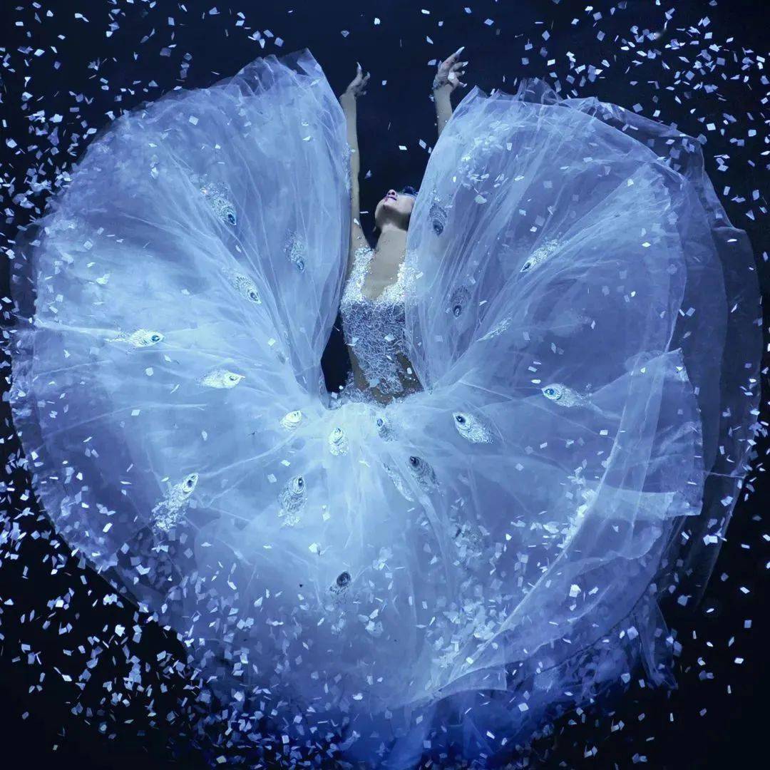 年轻时的杨丽萍,美得狂野自由_孔雀舞_舞蹈_舞剧