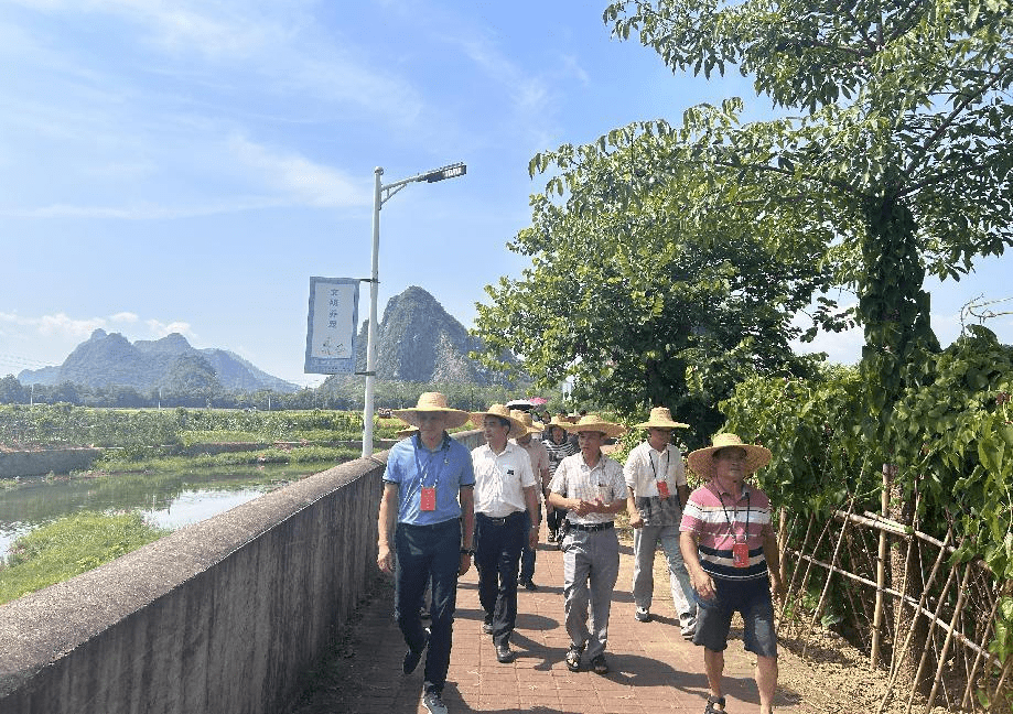 守生态河,尽安全责,清新区石潭镇人大代表把好源头关_河道_活动_治理