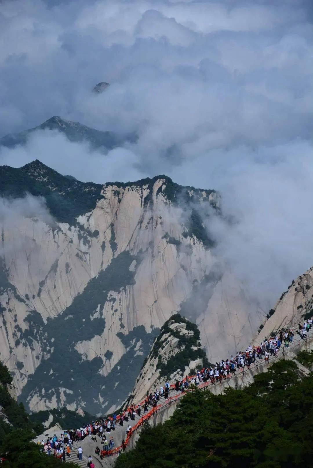 公示|"中国魂·华山情"全国摄影大赛相机组等级奖揭晓_陕西_渭南_西安