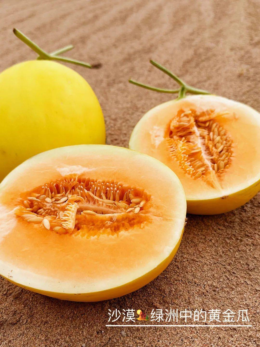 我一颗对果农,对绿洲就是更大的希望甜如蜜的沙漠黄金蜜瓜,值得您尝尝