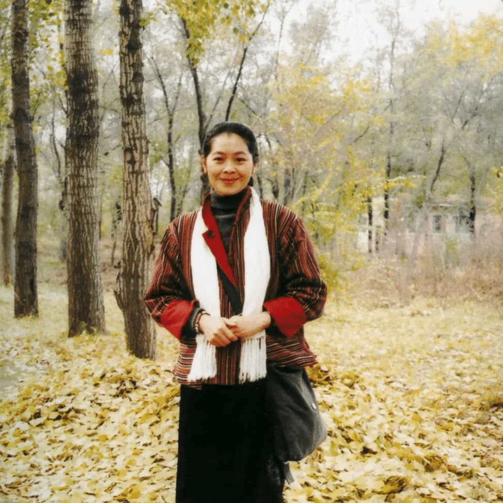 迟子建 | 寻石记_石头_白军_母亲