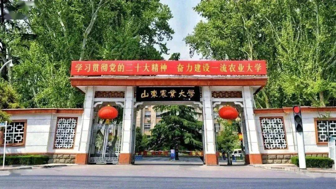 山东农业大学继续教育招生简章_教育部_山东省_学科