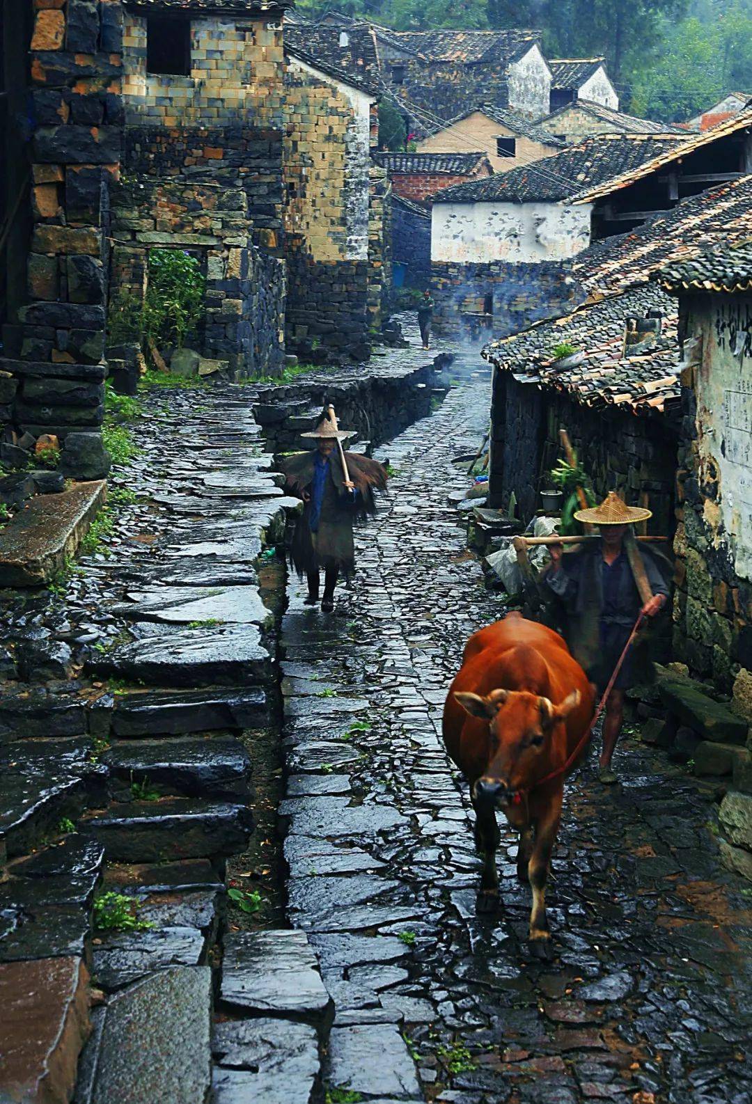 浙江磐安,宝藏避暑天堂_乌石村_大自然_中国