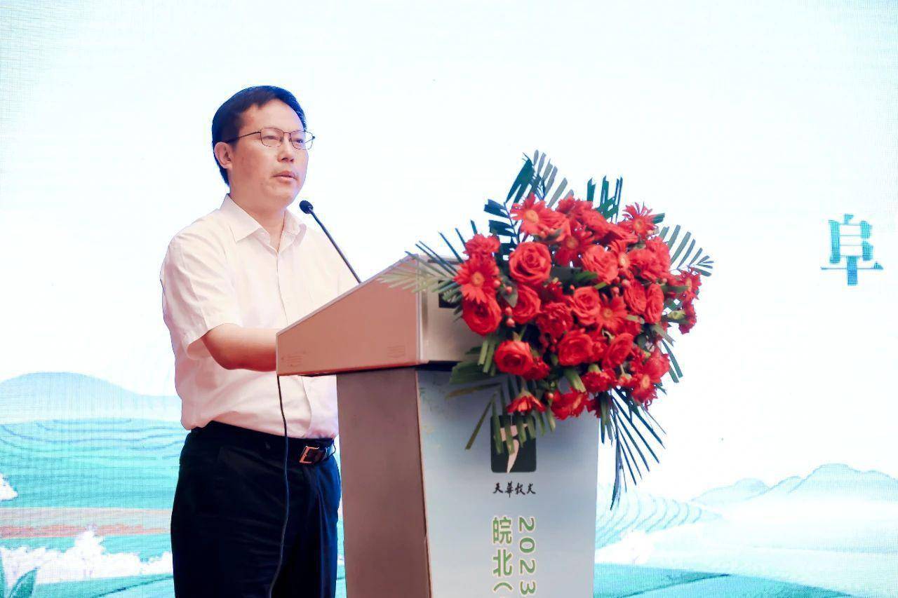 合力打响朴初故里 太美太湖茶旅品牌_发展_茶叶_吴海宏