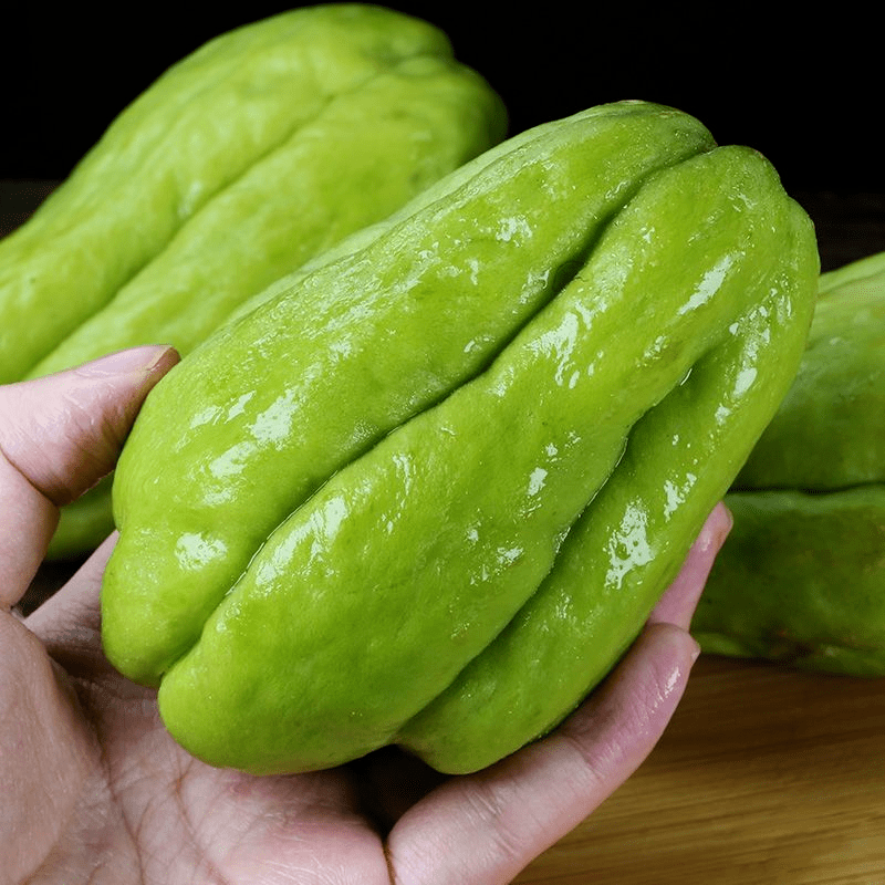 ▎新鲜现摘现发佛手瓜,脆嫩多汁,清爽美味又可口～_生活_瓜藤_云南