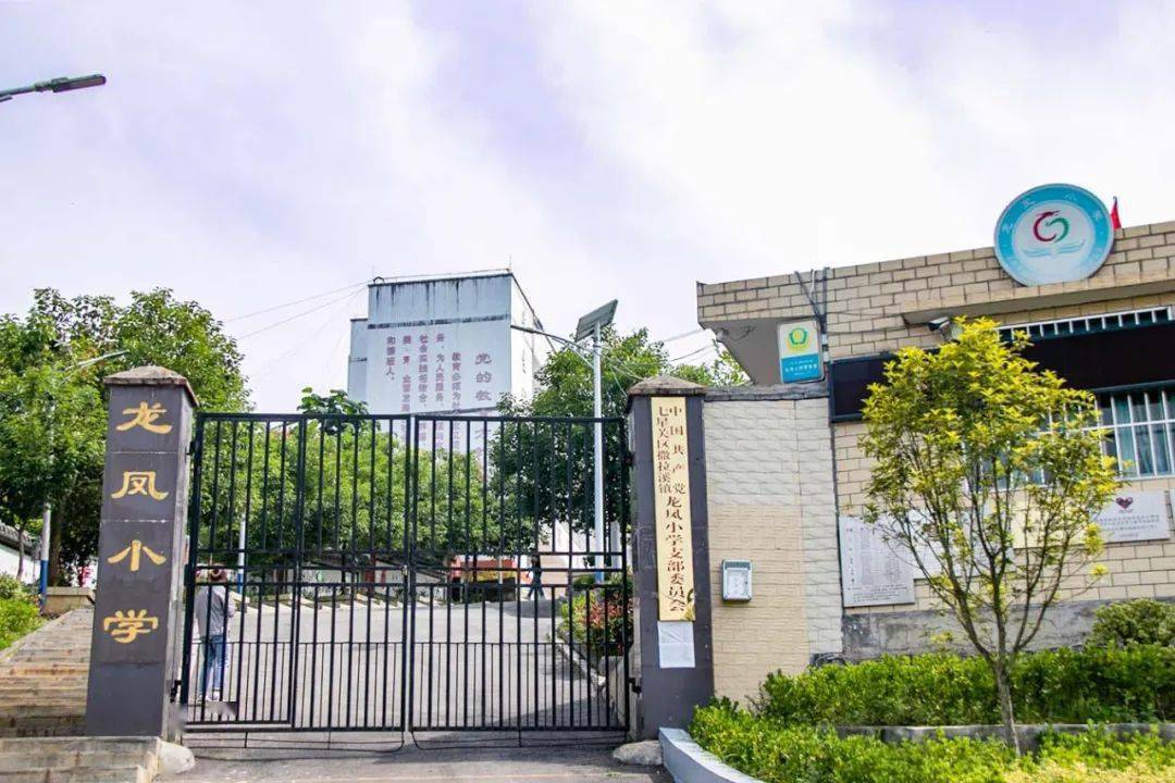 新发展理念的毕节实践 | 同心共建 携手同行_民盟中央_帮扶_致公党