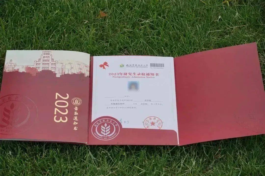 最美录取通知书top9盘点!_写作_引路人_细节