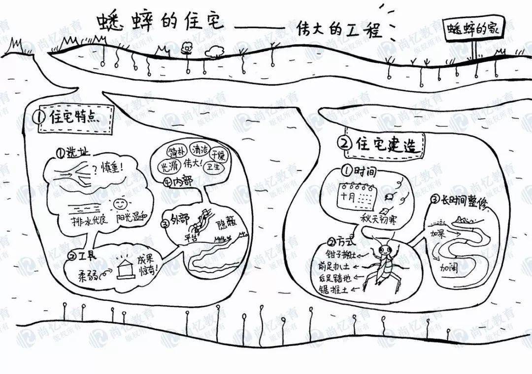 选择了灵活的画图方式,包括分格图,视觉笔记,思维导图等模式
