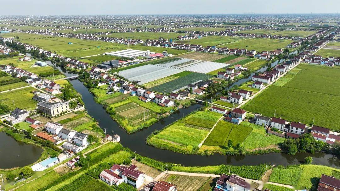 这次因为这两个村!_江苏省_李堡镇_唐家庄